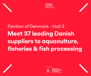 Danish Export Banner 300250