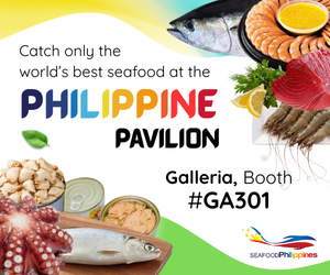 Philippines [SEG 2026] Banner Ads (300x250 pixels)