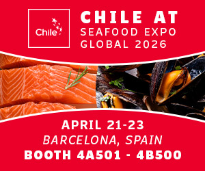 segprochile2026_v2 (1)